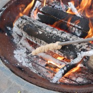 Summertime Campfire Treat: Cinnamon Sugar Stick Bread