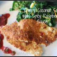 Crispy Coconut Sole with Jalapeño Raspberry Sauce