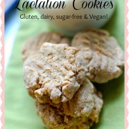 Peanut Butter Lactation Cookies (Gluten-Free, Dairy-free, Vegan!)