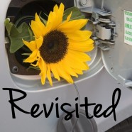 Change One (More) Thing Challenge Revisited