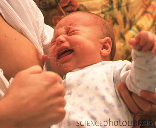 M8310148 Breast feeding baby s crying causes milk flow SPL
