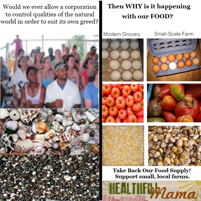 occupy our food supply