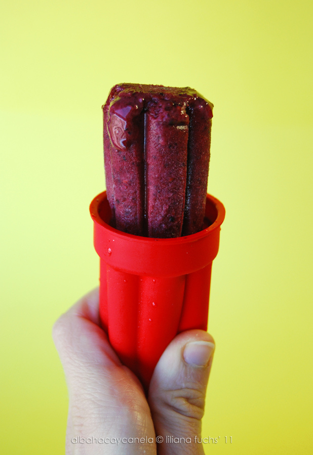 20+ Homemade Popsicle Recipes