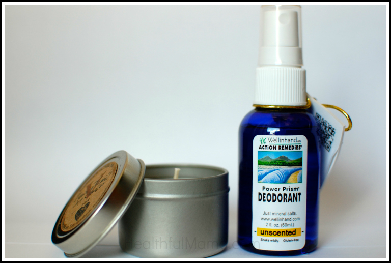 @HealthfulMama Ecocentric Mom July Review