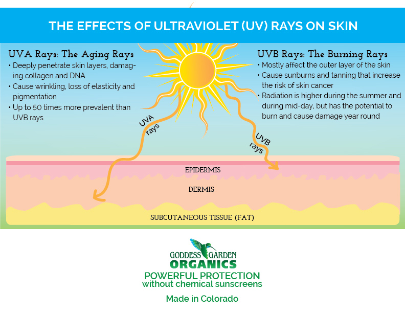 Effects of UV rays on skin1