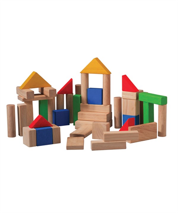 Plan Toys Wooden Blocks